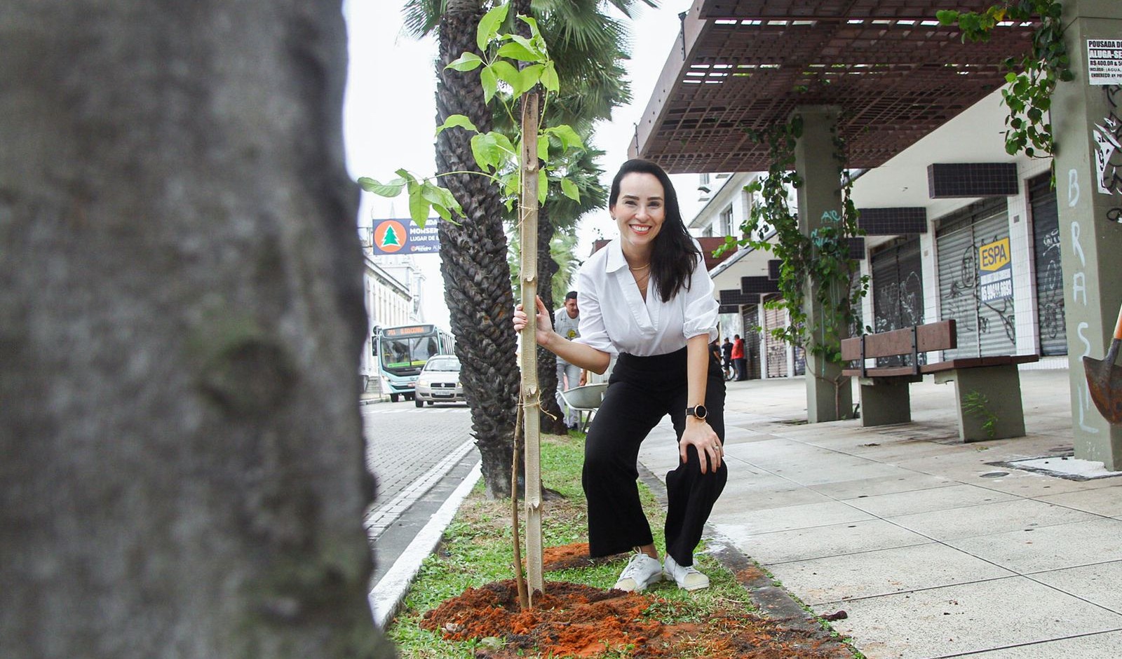 luciana lobo plantando uma muda na monsehor tabosa